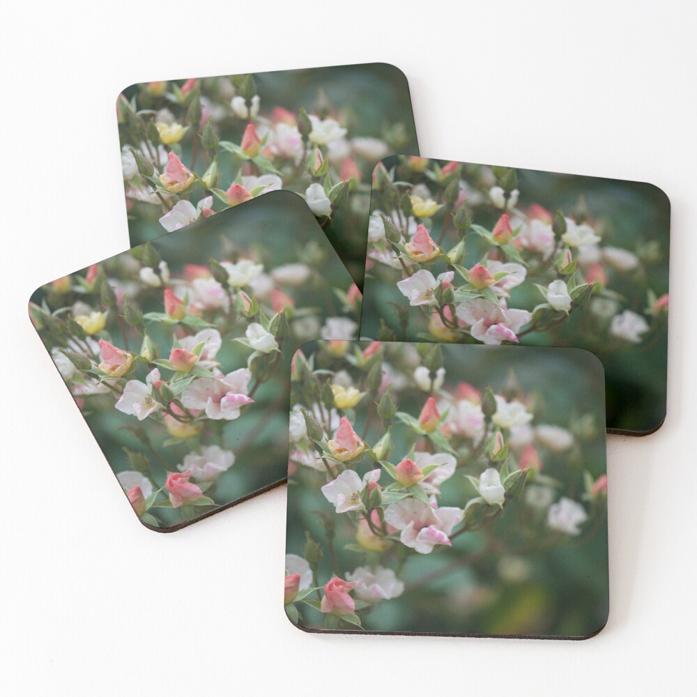 Item preview, Coasters (Set of 4) designed and sold by libbyoo4.
