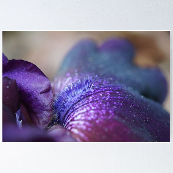 Item preview, Good afternoon, Iris! designed and sold by BLemley.