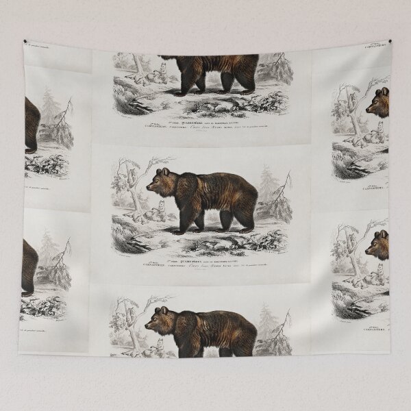 Item preview, Brown bear vintage illustration  designed and sold by Vintage Designs +.
