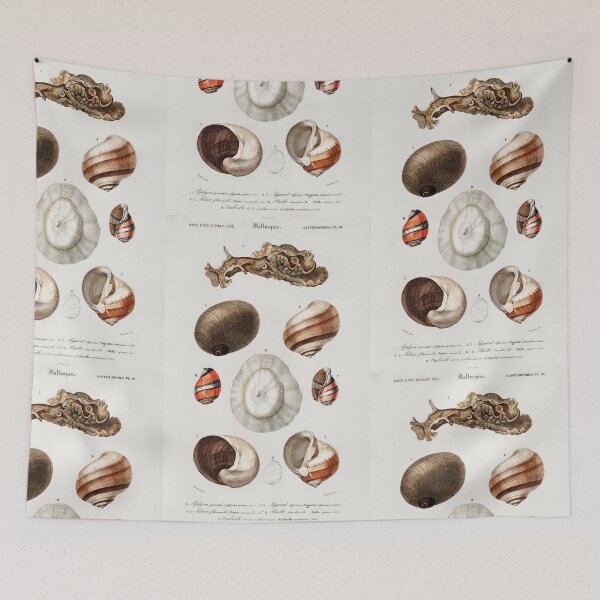 Artikelvorschau, Assorted shells vintage illustration entworfen und verkauft von Vintage Designs +.
