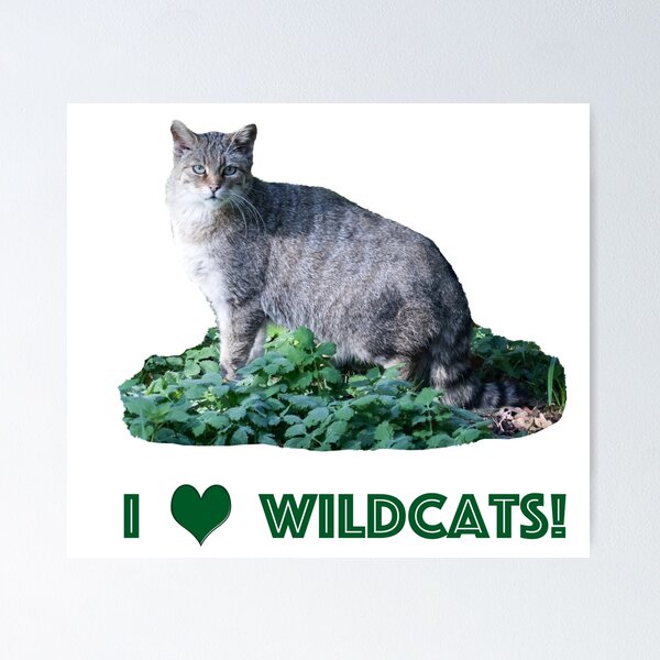 Item preview, wildcat designed and sold by Katja LebenFreude.