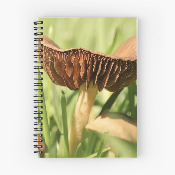 Item preview, Mushroom in the Grass designed and sold by Gary Horner.