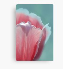 Tulip Edge Leinwanddruck