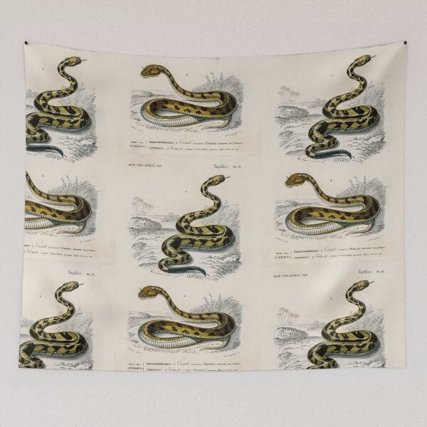 Artikelvorschau, Snakes vintage illustration entworfen und verkauft von Vintage Designs +.