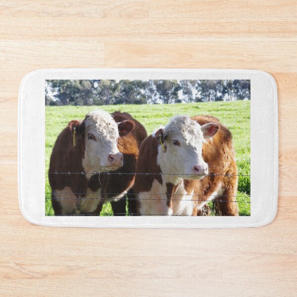 Item preview, Two Poll Herefords designed and sold by davidjc.