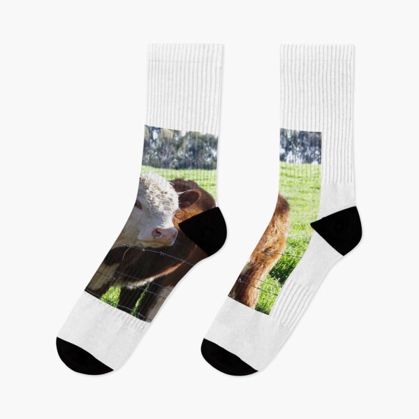 Item preview, Two Poll Herefords designed and sold by davidjc.