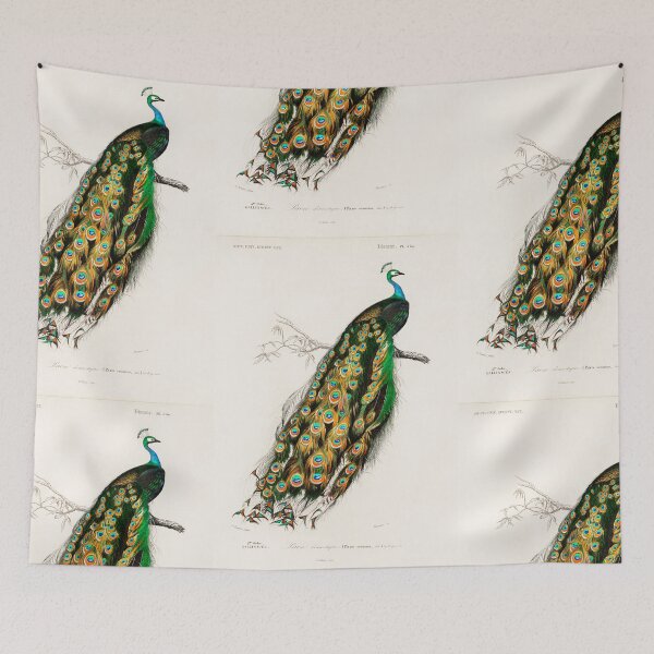 Item preview, Peacock vintage illustration  designed and sold by Vintage Designs +.