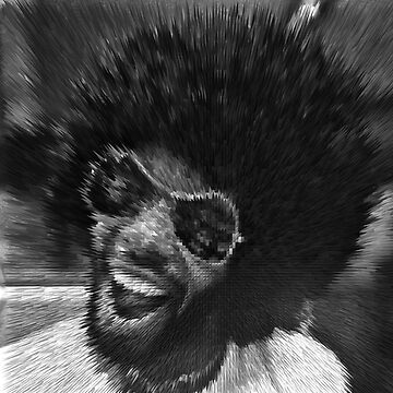 Artwork thumbnail, Exploding Sly Stone Close-Up by WarrenPHarris