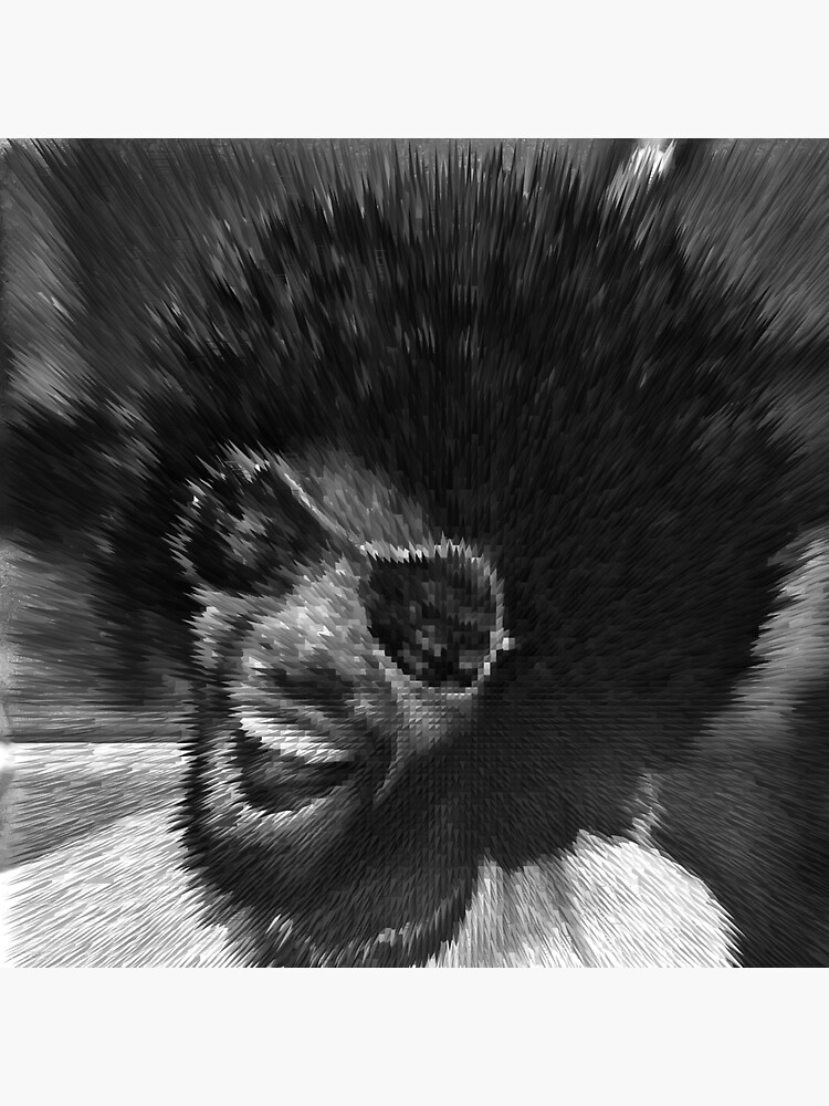 Thumbnail 3 of 3, Sticker, Exploding Sly Stone Close-Up designed and sold by Warren Paul Harris.