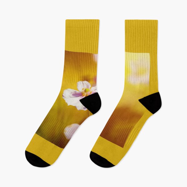 Item preview, Anemone flower at sunset against blurry designed and sold by Lukasz Szczepanski.