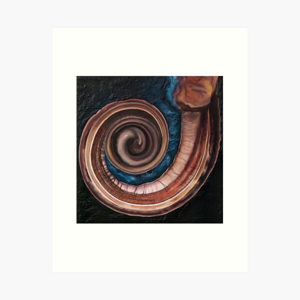 Item preview, "Slice"  cochlear dissection slice designed and sold by diagnosisart.