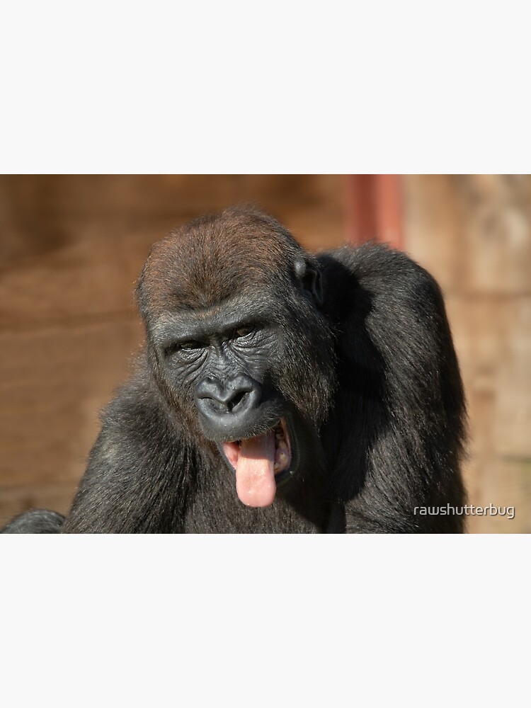 Gorilla Lope's Grin Throw Pillow for Sale by rawshutterbug