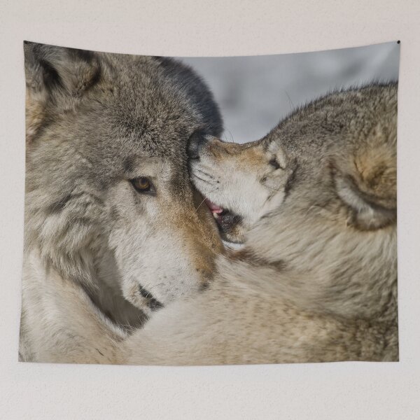 Item preview, Timber Wolves designed and sold by Michael Cummings.