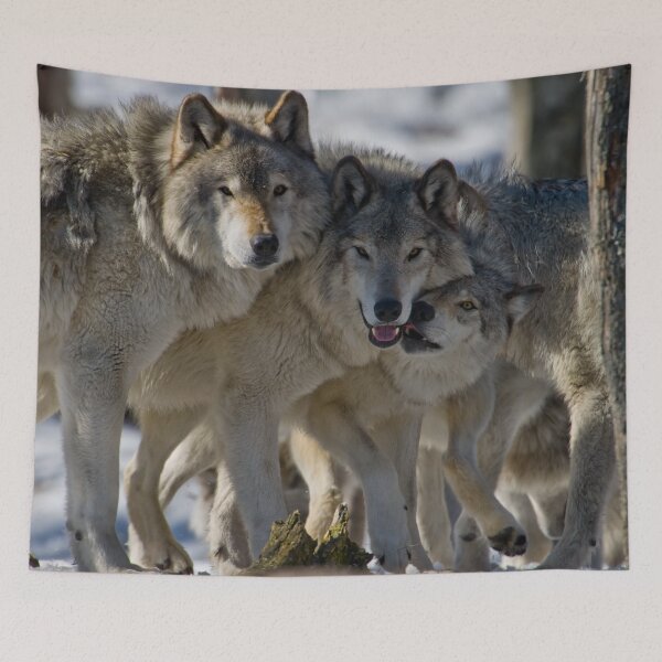 Item preview, Wolf Pack designed and sold by Michael Cummings.