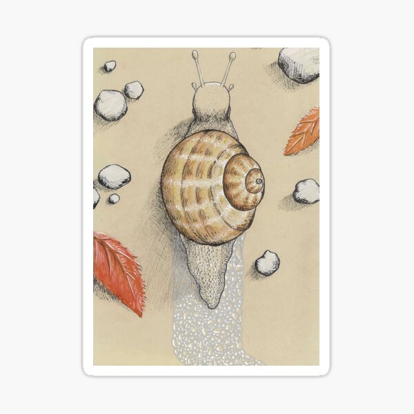 Escargot Sticker