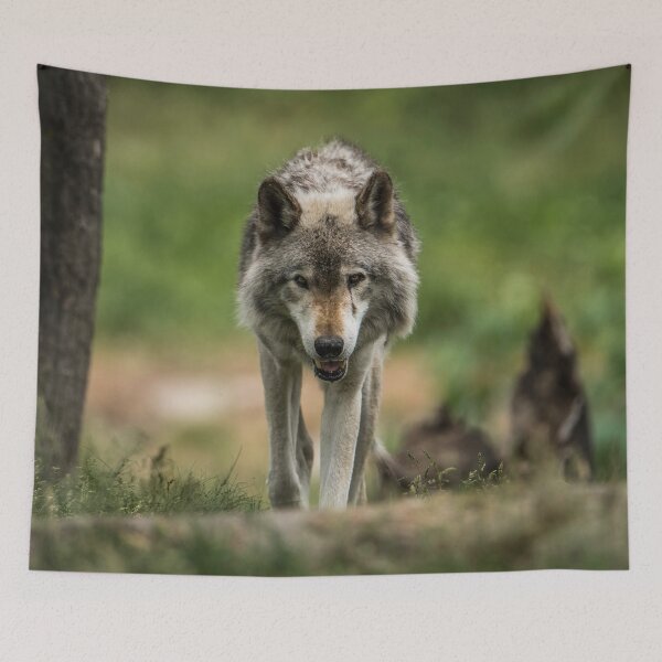 Item preview, Timber Wolf designed and sold by Michael Cummings.