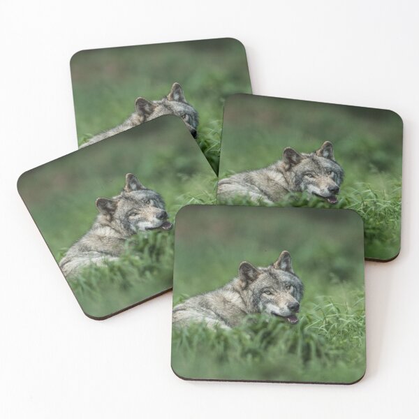 Item preview, Timber Wolf designed and sold by Michael Cummings.