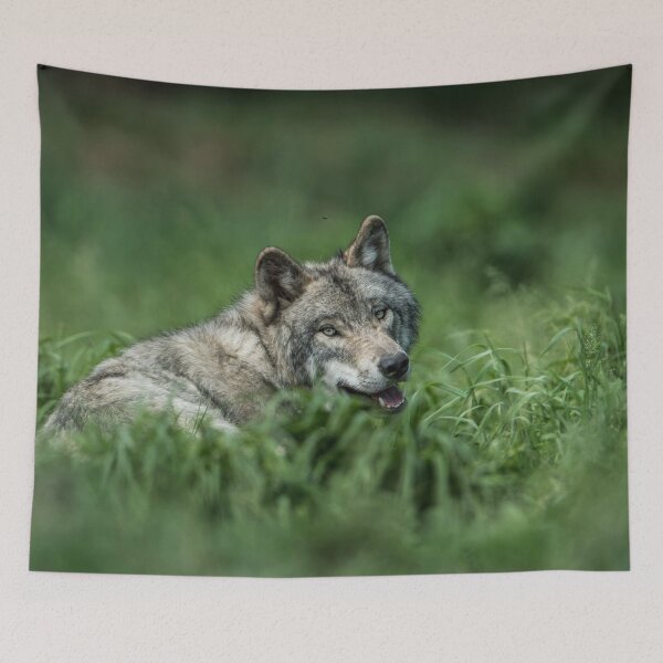 Item preview, Timber Wolf designed and sold by Michael Cummings.