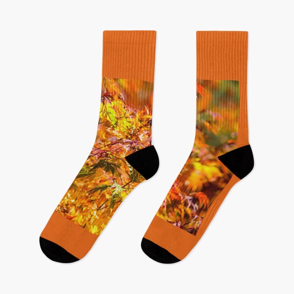 Item preview, Maple tree red and orange autumn leafs designed and sold by Lukasz Szczepanski.