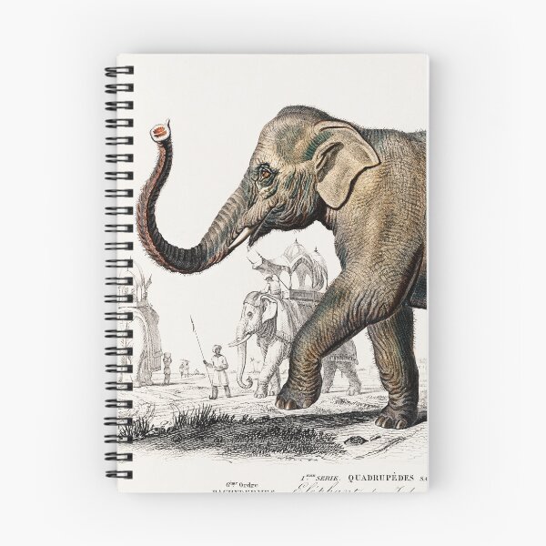 Item preview, Elephant vintage illustration  designed and sold by Vintage Designs +.