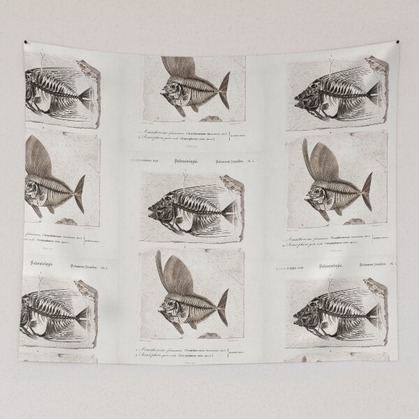 Item preview, Assorted fish skeletons vintage illustration  designed and sold by Vintage Designs +.