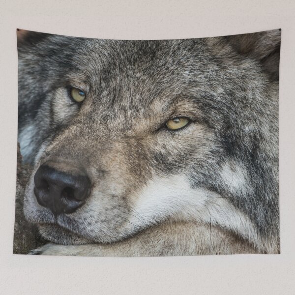 Item preview, Timber Wolf - Closeup designed and sold by Michael Cummings.