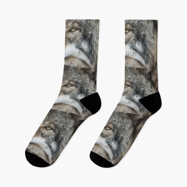 Item preview, Timber Wolf - Closeup designed and sold by Michael Cummings.