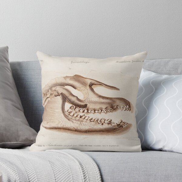 Item preview, Mammal Skull vintage illustration designed and sold by Vintage Designs +.