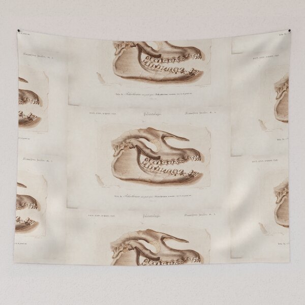 Artikelvorschau, Mammal Skull vintage illustration entworfen und verkauft von Vintage Designs +.