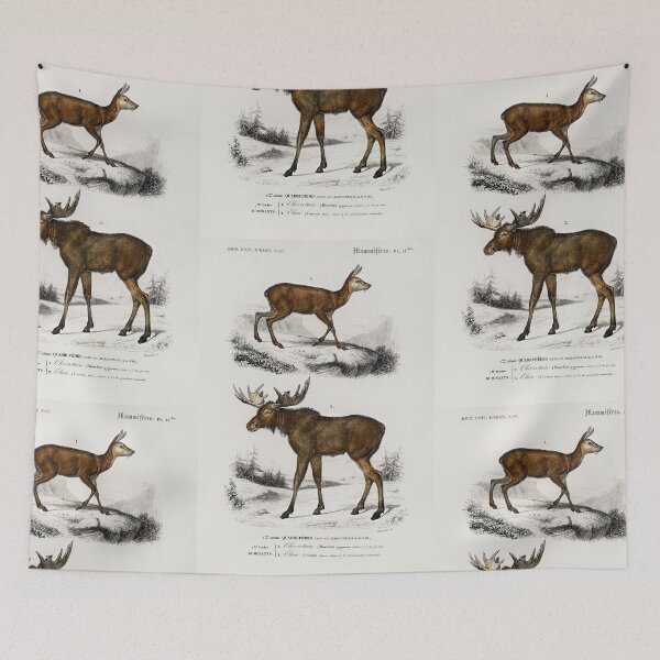 Item preview, Moose and deer vintage illustration  designed and sold by Vintage Designs +.