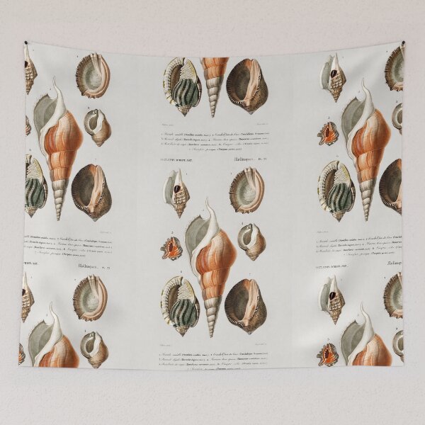Artikelvorschau, rustic Assorted shells vintage illustration entworfen und verkauft von Vintage Designs +.
