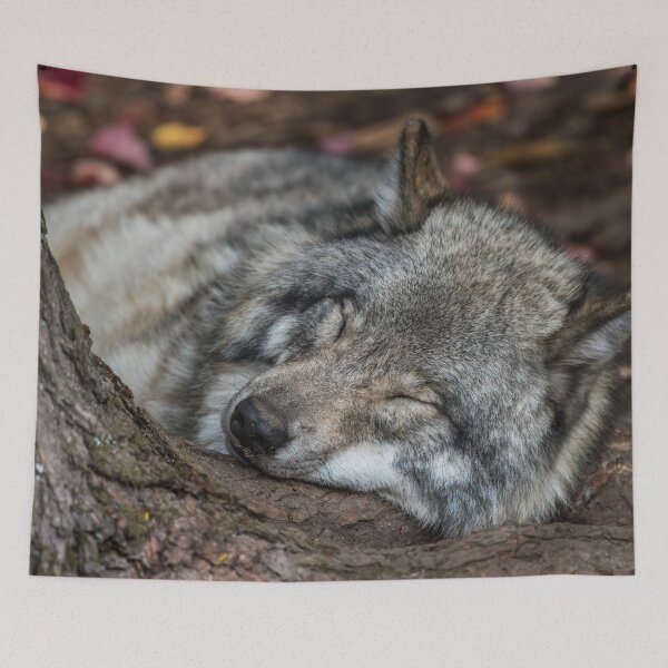 Item preview, Nap Time designed and sold by Michael Cummings.