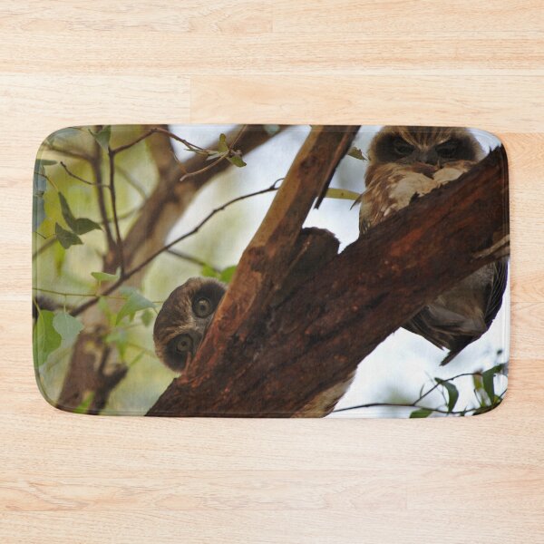 Item preview, A cute pair of Australian Boobook owls designed and sold by Jason Gilbert.