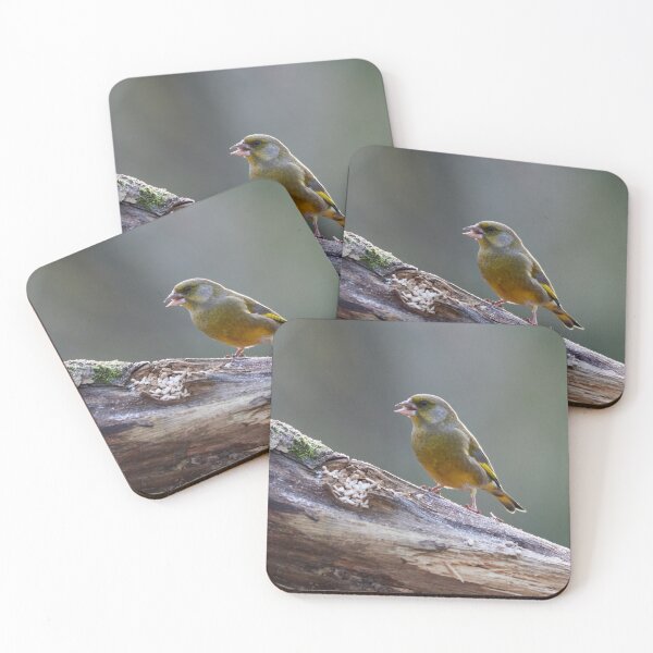 Item preview, Seeds seeds seeds. European greenfinch designed and sold by Jouko Lehto Photography.
