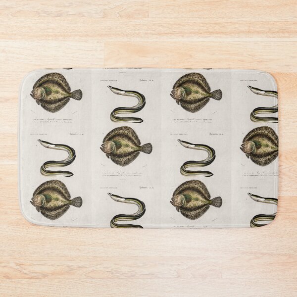 Item preview, Flatfish and eel  vintage illustration  designed and sold by Vintage Designs +.