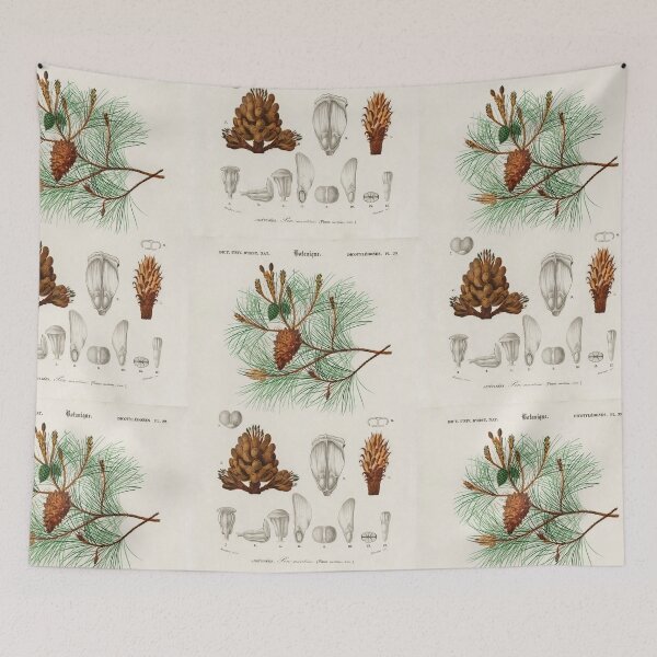 Item preview, Pine cones vintage illustration  designed and sold by Vintage Designs +.
