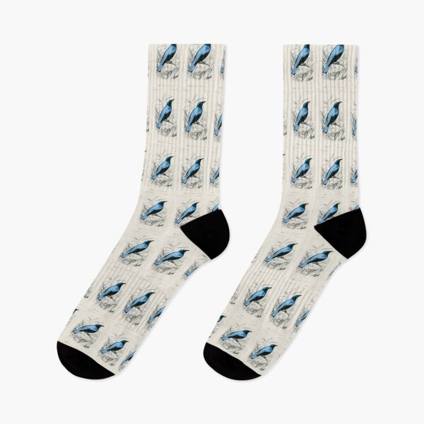 Aperçu de l'œuvre Blue Drongo bird vintage illustration créée et vendue par Vintage Designs +.