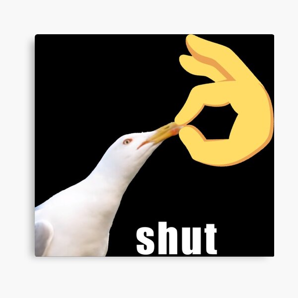Shut Seagull meme" Canvas Print for Sale by HangLooseDraft | Redbubble