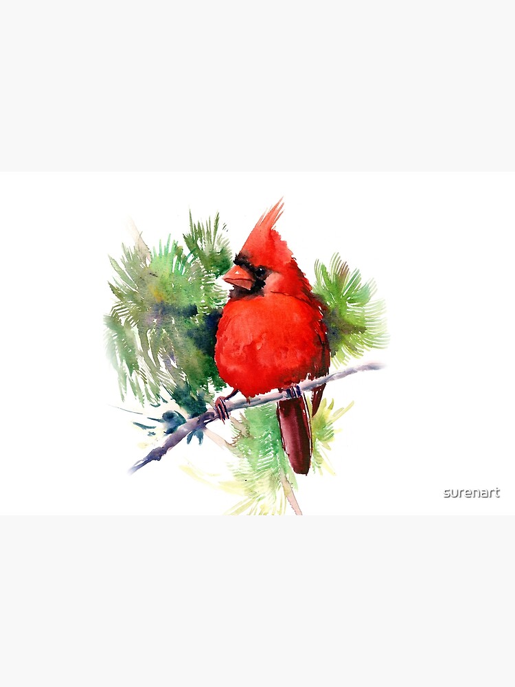 Red Cardinal Bird by surenart