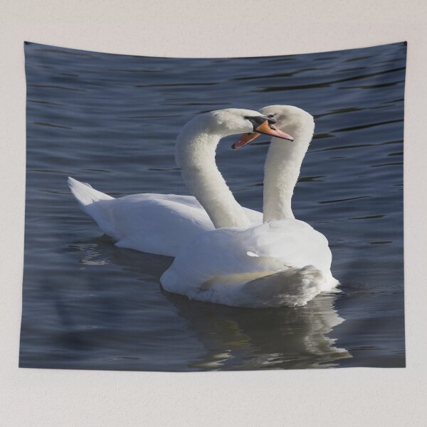 Item preview, Swan Courtship  designed and sold by Londonimages.