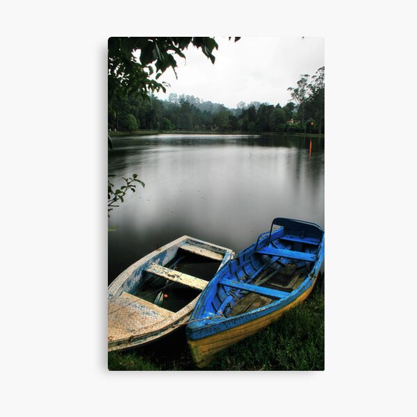 ol' chums Canvas Print