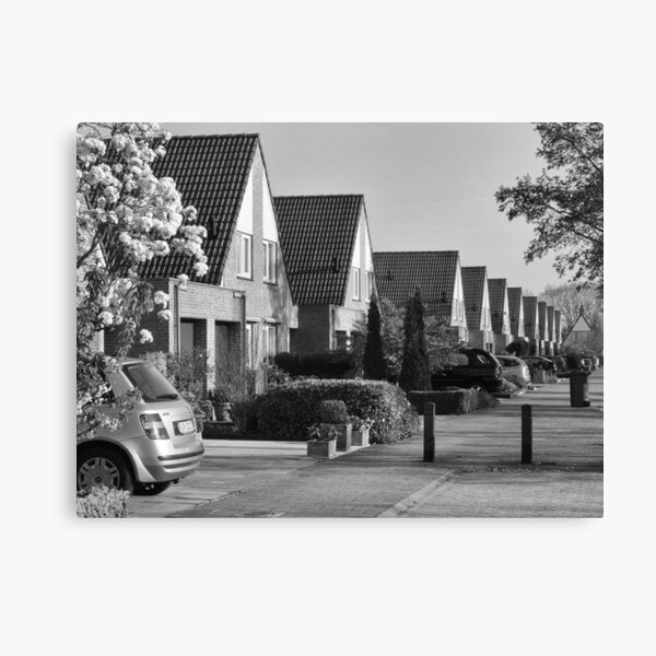 Urban: Sleepy morning with Sakura scent Canvas Print