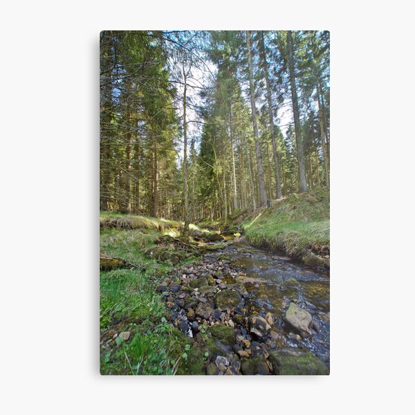 A Peaceful Walk Metal Print