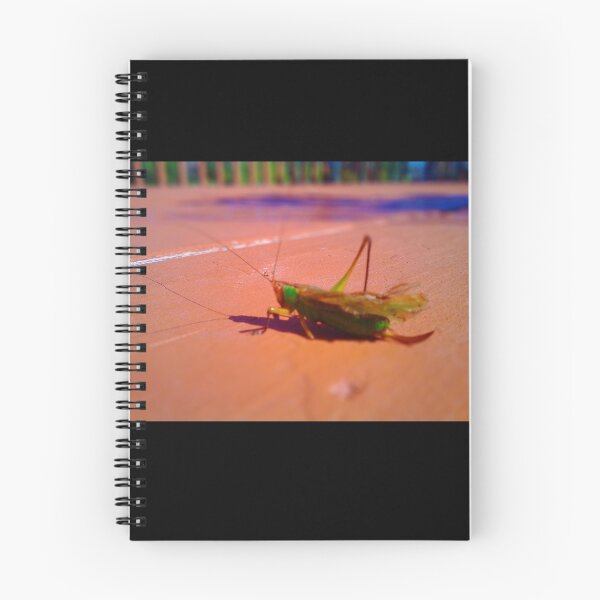 Item preview, Grasshopper Looks Like a Jewel designed and sold by foggynotion.