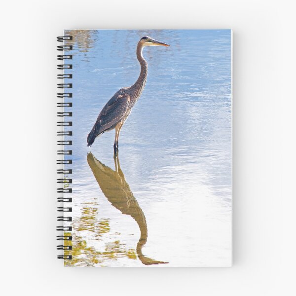 Item preview, Great Blue Heron Standing in Still Water designed and sold by JRRouse.