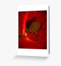 Firewall Greeting Card