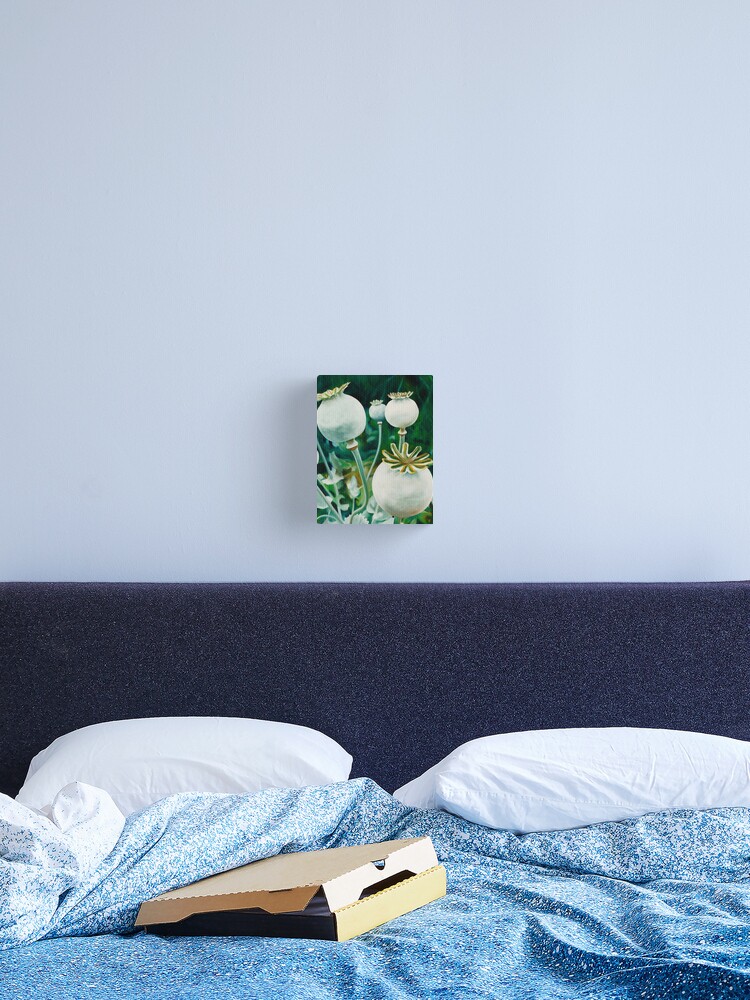 Thumbnail 2 of 3, Canvas Print, Poppy Heads - oil painting of green poppy heads designed and sold by jknowles.