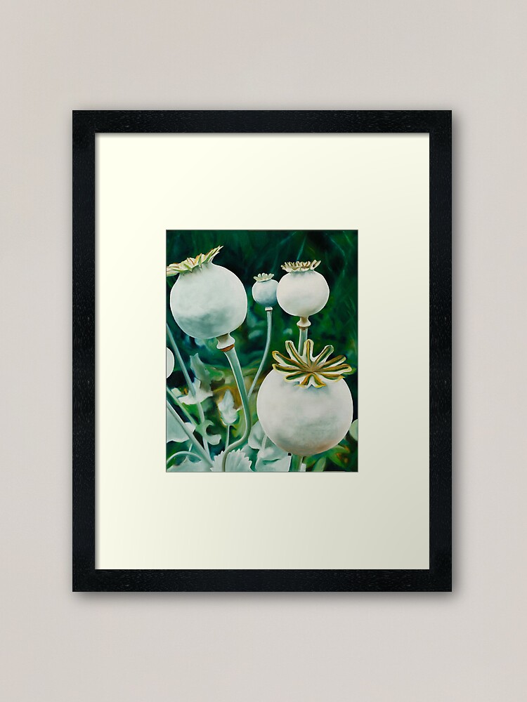 Thumbnail 1 of 7, Framed Art Print, Poppy Heads - oil painting of green poppy heads designed and sold by jknowles.