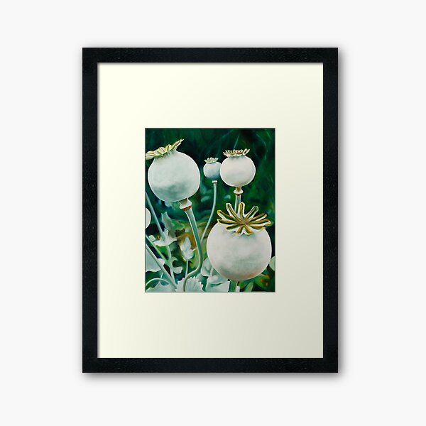 Framed Art Print