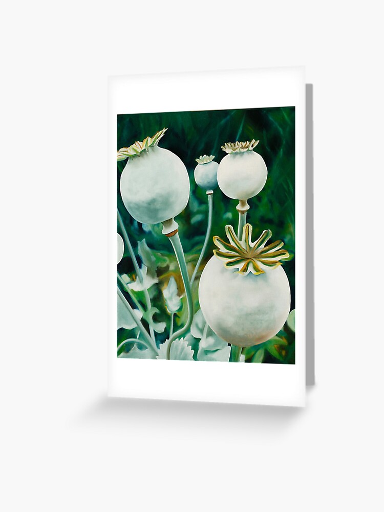 Thumbnail 1 of 2, Greeting Card, Poppy Heads - oil painting of green poppy heads designed and sold by jknowles.